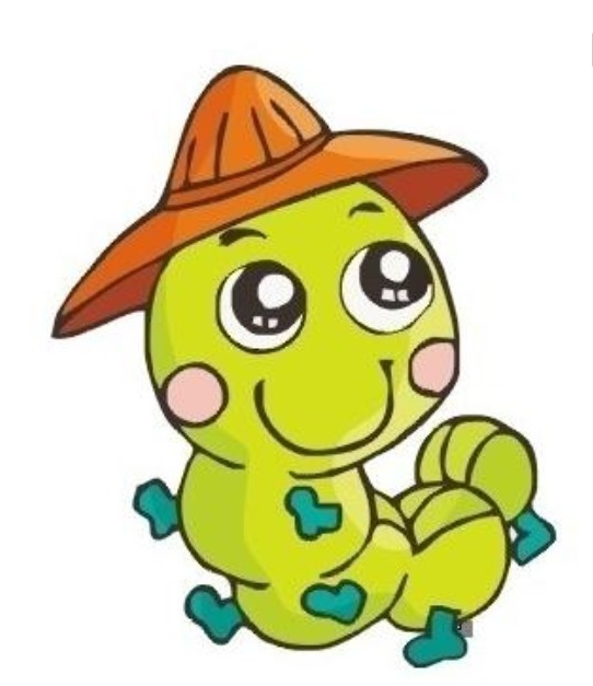 大班主题活动 |《神奇的叶子——茶叶》-幼师课件网第9张图片