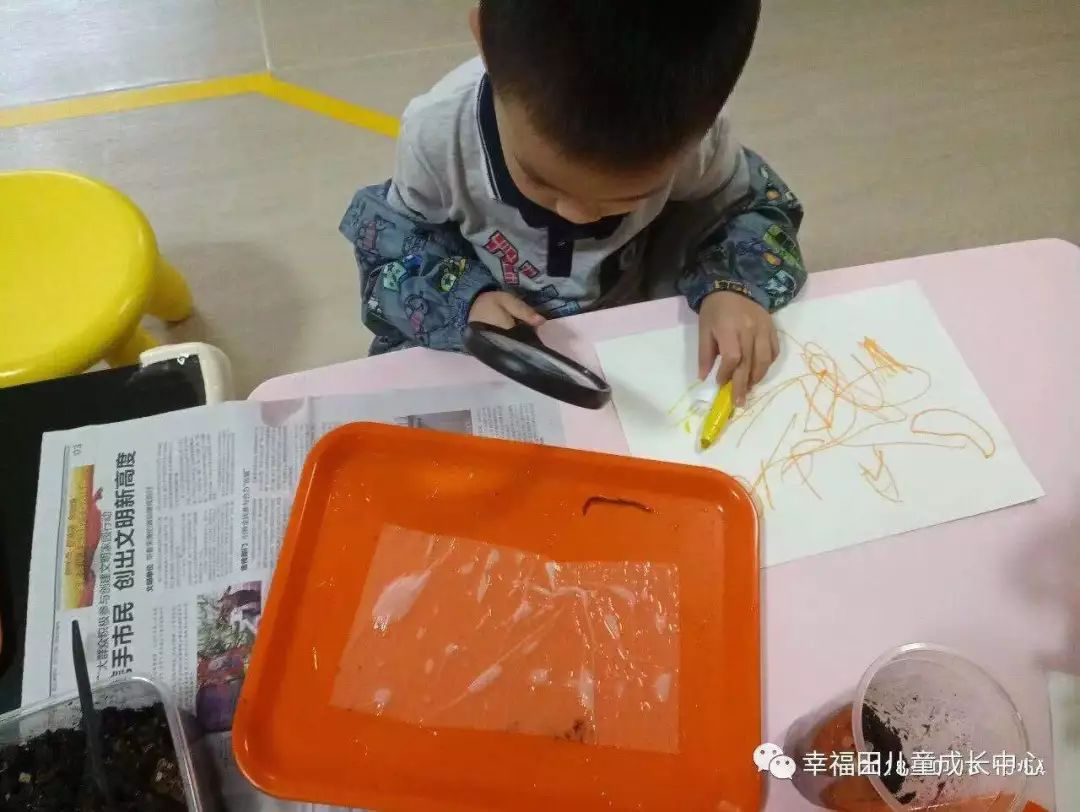 主题活动 | 孩子们的蚯蚓探究日记-幼师课件网第13张图片