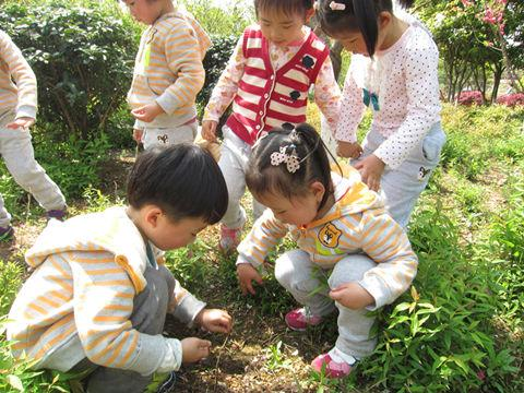 小班春季主题活动 | 美丽的春天-幼师课件网第3张图片