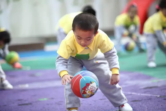 幼儿园里如何举办一场成功的运动会？-幼师课件网第6张图片