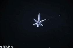 大班艺术领域美术活动 | 剪纸手工《雪花》-幼师课件网第9张图片
