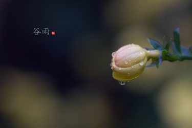 谷雨 | 谷雨时节，养生就该从娃娃抓起！-幼师课件网第9张图片