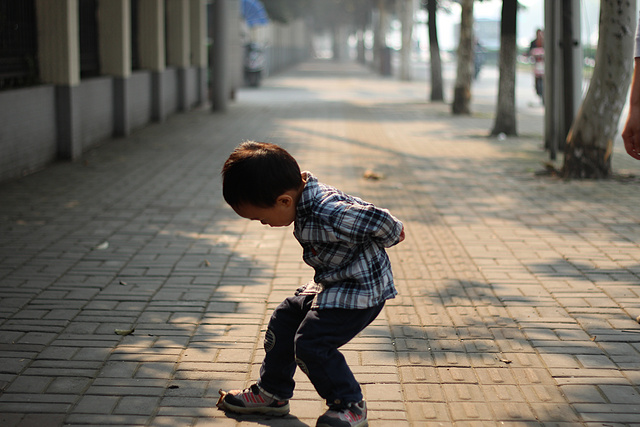 树叶游戏 | 听说机智的幼师，在孩子玩树叶时会问这些问题…-幼师课件网第4张图片