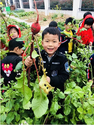 中班主题活动《能干的我》-幼师课件网第34张图片