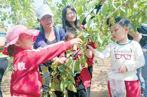 白露节气活动 | 这8个趣味节气活动，带你感受白露的诗意-幼师课件网第8张图片