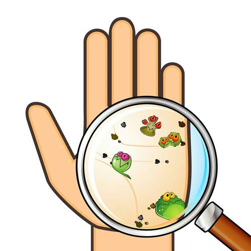 中班健康领域活动 | 《勤洗手，病菌都赶跑》-幼师课件网第5张图片