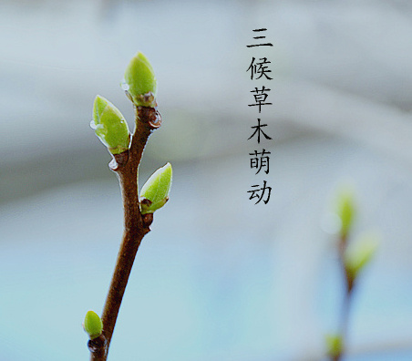 二十四节气 第二节 | 雨水，最是一年春好处-幼师课件网第8张图片