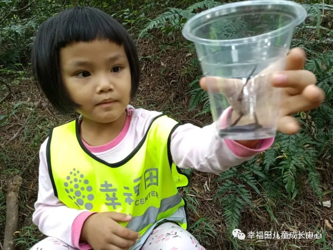 主题活动 | 孩子们的蚯蚓探究日记-幼师课件网第5张图片