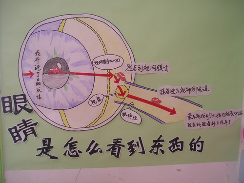 主题墙+活动创意 | 保护眼睛，从未如此有趣！-幼师课件网第13张图片