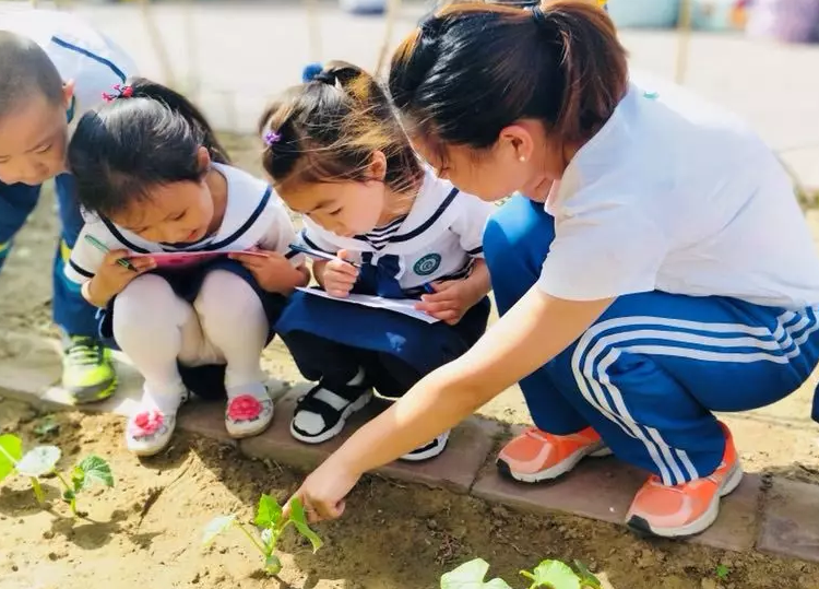 小满活动 | 10个奇妙的节气活动，带你体味其中的人生道理-幼师课件网第11张图片