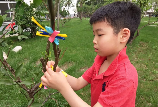 芒种节气活动 | 11个有趣的活动，带你走进忙碌的节气里-幼师课件网第29张图片