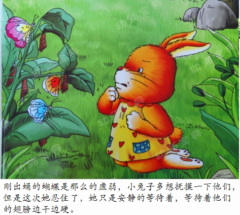 中班语言教案 | 新邻居（化茧成蝶的毛毛虫）-幼师课件网第22张图片