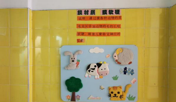 发展幼儿各项技能的各种科学主题墙-幼师课件网第4张图片