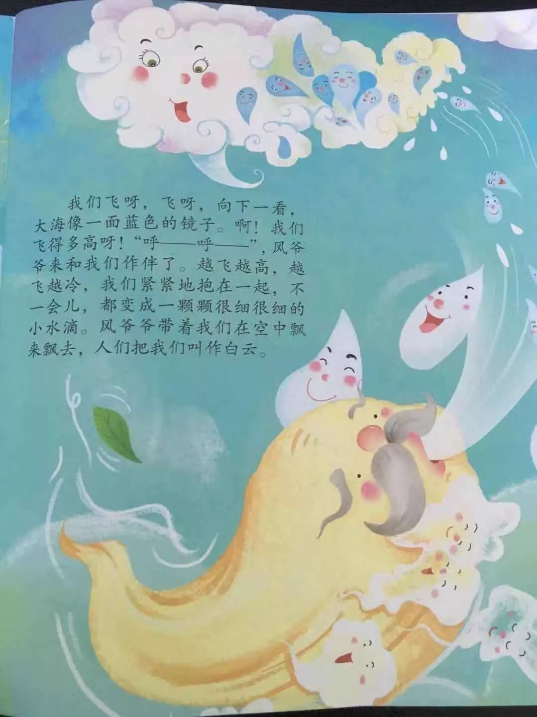 大班主题墙+主题活动 | 《大自然的密语》-幼师课件网第8张图片