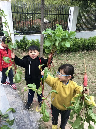 中班主题活动《能干的我》-幼师课件网第36张图片