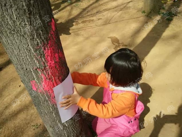 户外自然课程 | 《神奇的树皮》-幼师课件网第29张图片