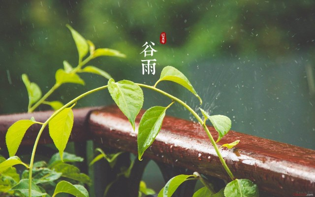 谷雨活动 | 12个好玩的节气活动，带你遵循自然的规律慢下来-幼师课件网第2张图片