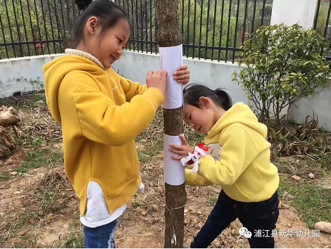 大班主题活动《绿野仙踪》-幼师课件网第11张图片