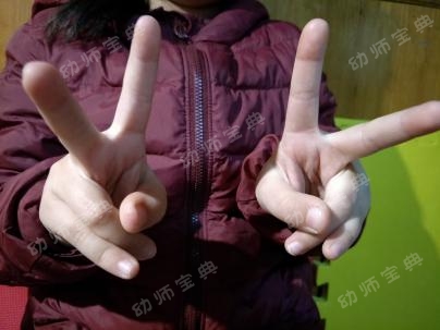 手指操视频 | 《立春》《雨水》《惊蛰》《二月二》-幼师课件网第15张图片