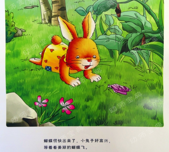 中班语言教案 | 新邻居（化茧成蝶的毛毛虫）-幼师课件网第18张图片