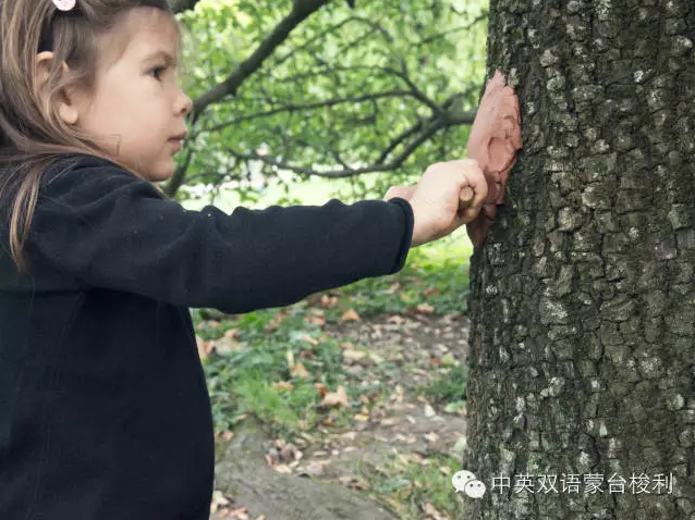 蒙台梭利 | 我们可以为孩子提供什么样有意义的室内环境？-幼师课件网第70张图片