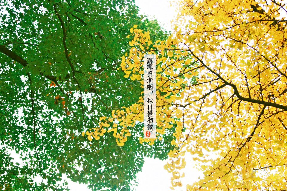 二十四节气第14节 | 处暑：一半是海水，一半是火焰-幼师课件网第30张图片