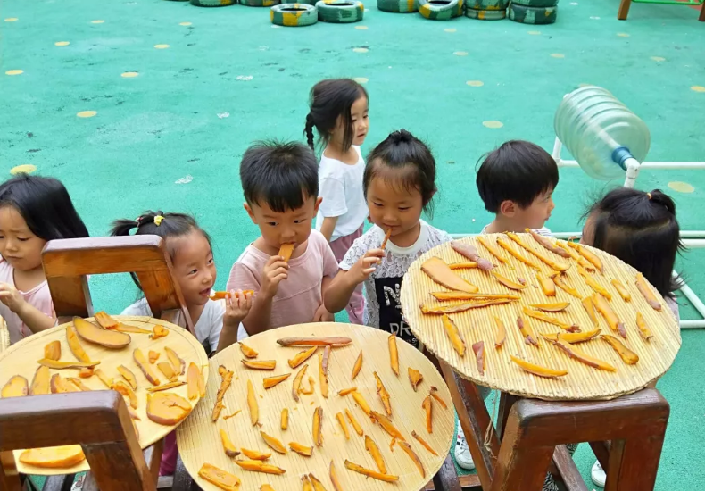 白露节气活动 | 这8个趣味节气活动，带你感受白露的诗意-幼师课件网第36张图片