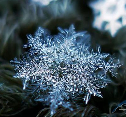 二十四节气 | 大雪：集浪漫与美食与一身-幼师课件网第27张图片