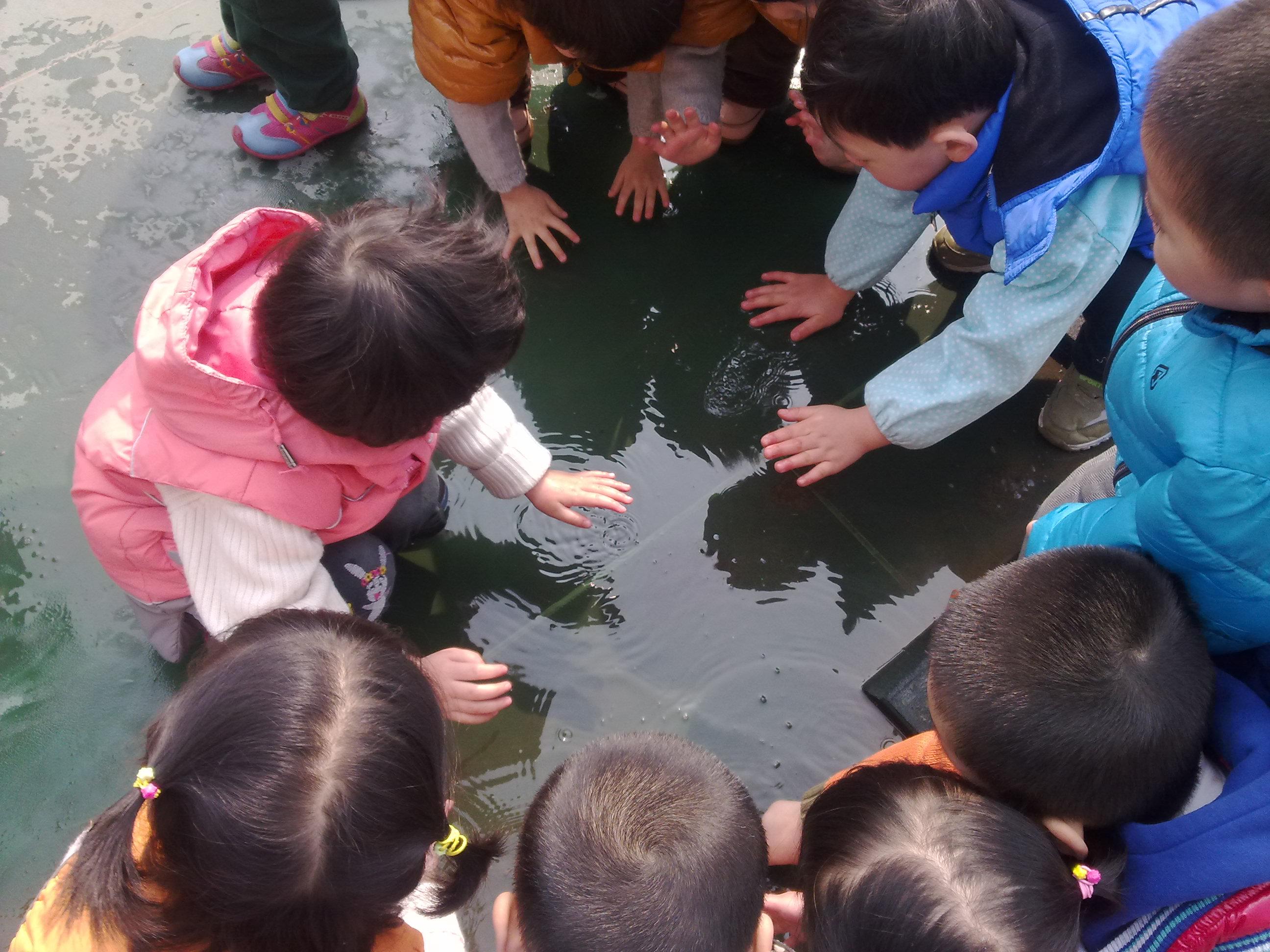 托班科学活动《小水洼》-幼师课件网第1张图片