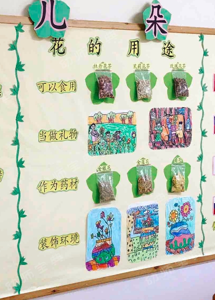 主题墙 | 春季开学不能错过的中大班主题墙创设-幼师课件网第20张图片