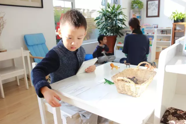 2016北京AMI年会｜3-6专业工作坊《和平的种子》（下）-幼师课件网第11张图片