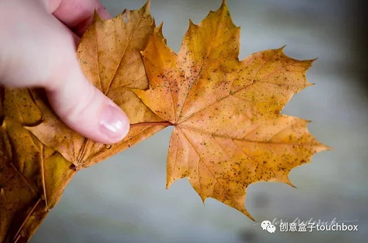 秋季手工 | 秋天这么美，不玩叶子怎么行？-幼师课件网第29张图片