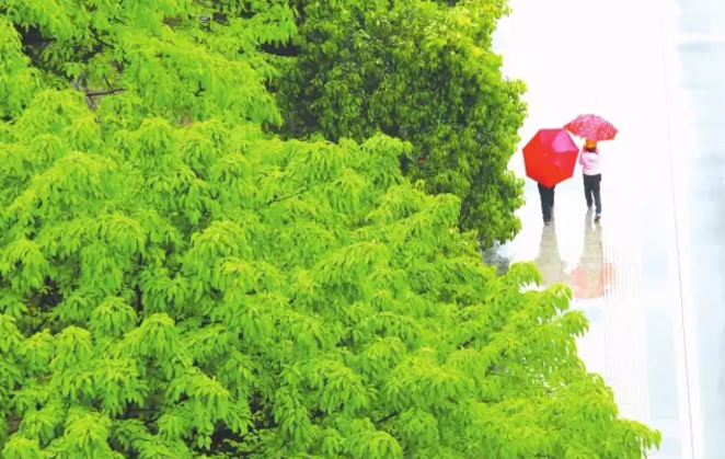 二十四节气第六节 | 谷雨：雨生百谷春欲尽，花事阑珊赏牡丹-幼师课件网第29张图片