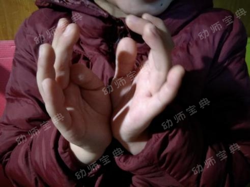 手指操视频 | 《立春》《雨水》《惊蛰》《二月二》-幼师课件网第10张图片