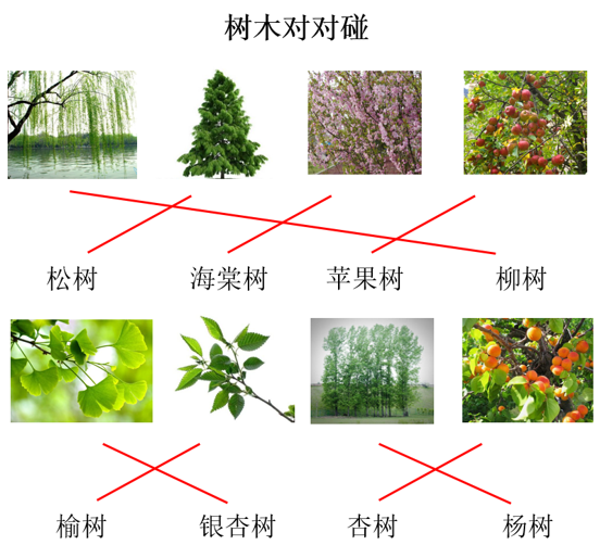 小、中班植树节教案 | 植树节知多少-幼师课件网第2张图片
