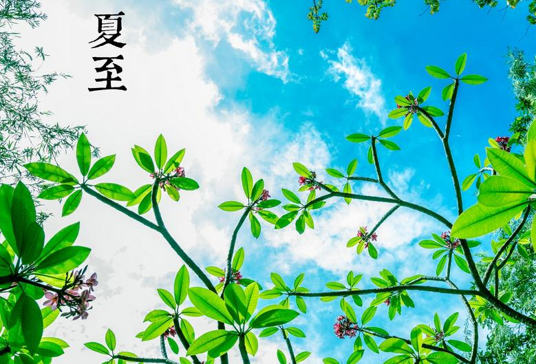 夏至节气活动 | 12个精彩的节气活动，带你领略自然的美-幼师课件网第2张图片