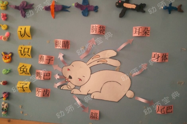 主题墙 | 中班主题墙创设《动物朋友》-幼师课件网第4张图片