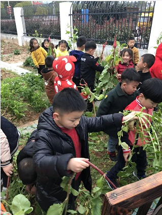 中班主题活动《能干的我》-幼师课件网第37张图片