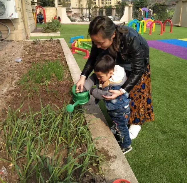 播种希望，收获成长！植树节，你种树了吗？-幼师课件网第4张图片