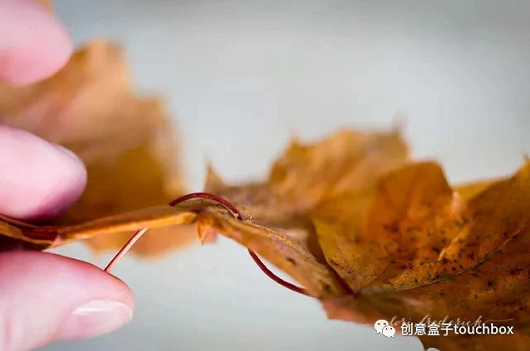 秋季手工 | 秋天这么美，不玩叶子怎么行？-幼师课件网第28张图片