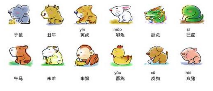托班优秀教案：十二生肖-幼师课件网第1张图片