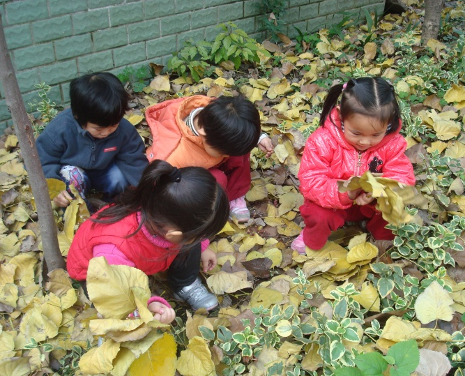 主题活动 | 叶子全落啦，一起为大树妈妈堆肥吧！-幼师课件网第10张图片
