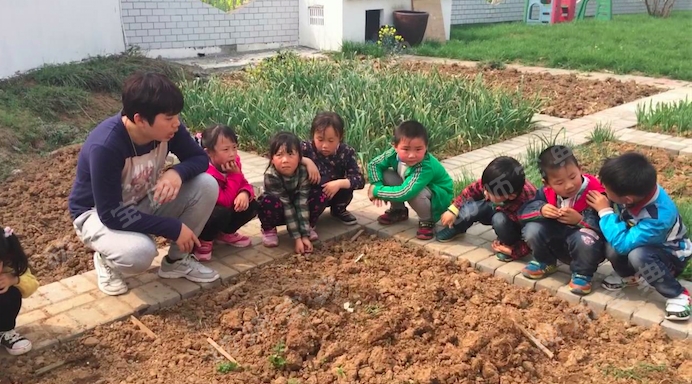 大班主题活动《蔬菜总动员》，自己种的蔬菜做的饭最美味~-幼师课件网第3张图片