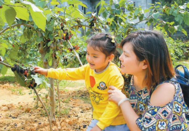 小满节气 | 家庭亲子活动-幼师课件网第7张图片