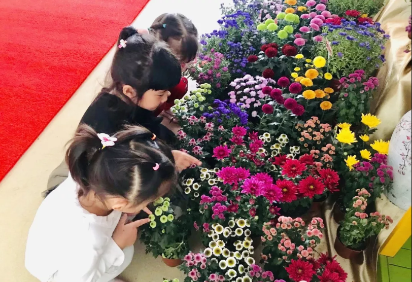 寒露节气活动 | 这8个有趣的节气活动，带你走进寒露的美-幼师课件网第8张图片