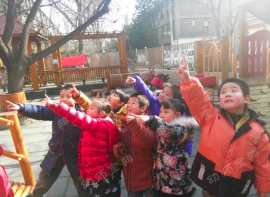 连续性探究活动 | 小芽苞里的秘密-幼师课件网第3张图片