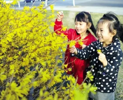 优秀教案 | 小班社会领域活动《春天来啦》-幼师课件网