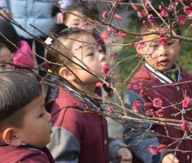 立春 | “春来知多少”，这些适合孩子们的节气活动不容错过！-幼师课件网第18张图片