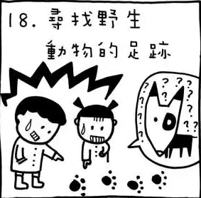 漫画 | 12岁前一定要陪孩子体验这50项户外活动-幼师课件网第18张图片