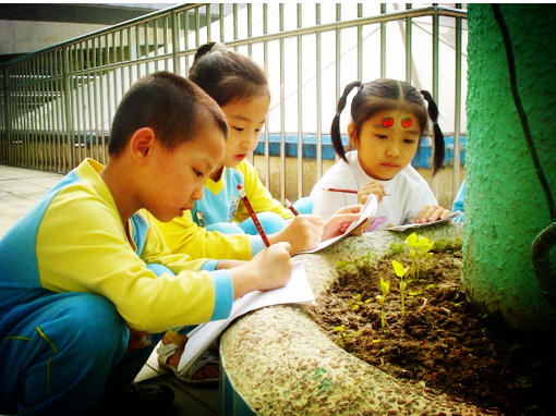 “一颗想长大的种子”生命教育主题活动设计-幼师课件网第3张图片